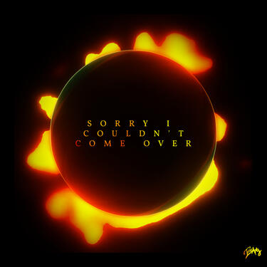 SORRY I COULDN&#39;T COME OVER